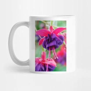Fuchsia  'Dark Eyes'  AGM Mug